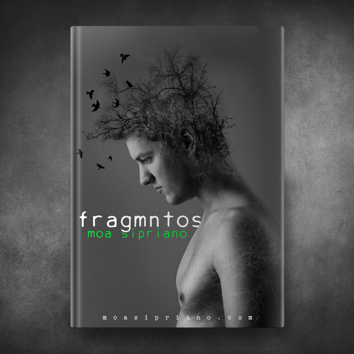Fragmntos - Moa Sipriano