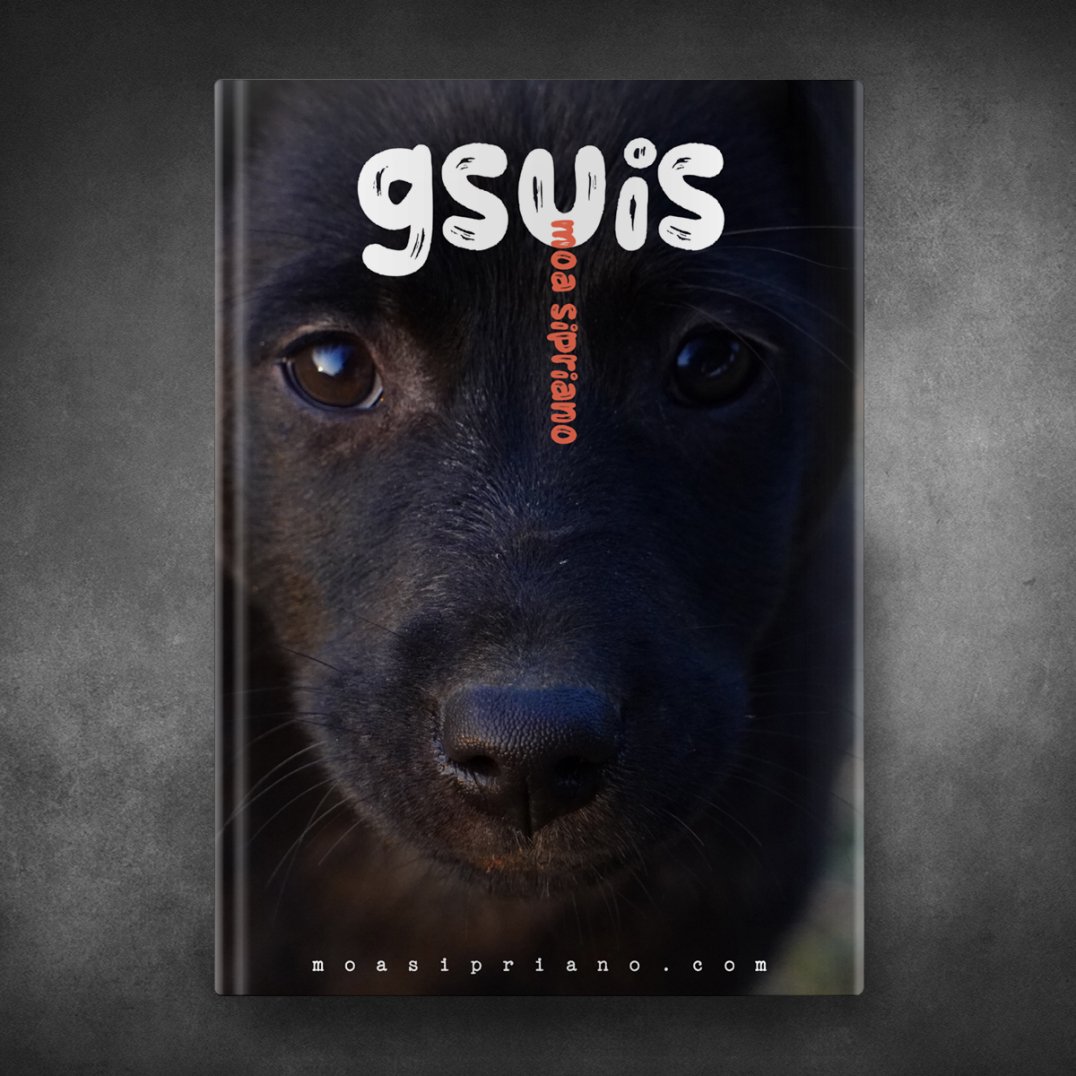 Gsuis - Moa Sipriano