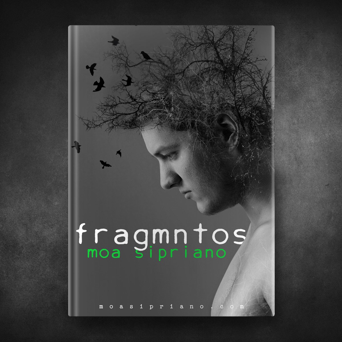 Moa Sipriano - "Fragmntos"